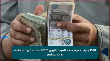 1500 جنيه.. صرف منحة المولد النبوي 2025 للعمالة غير المنتظمة بداية سبتمبر